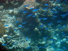 057 Great Barrier Reef